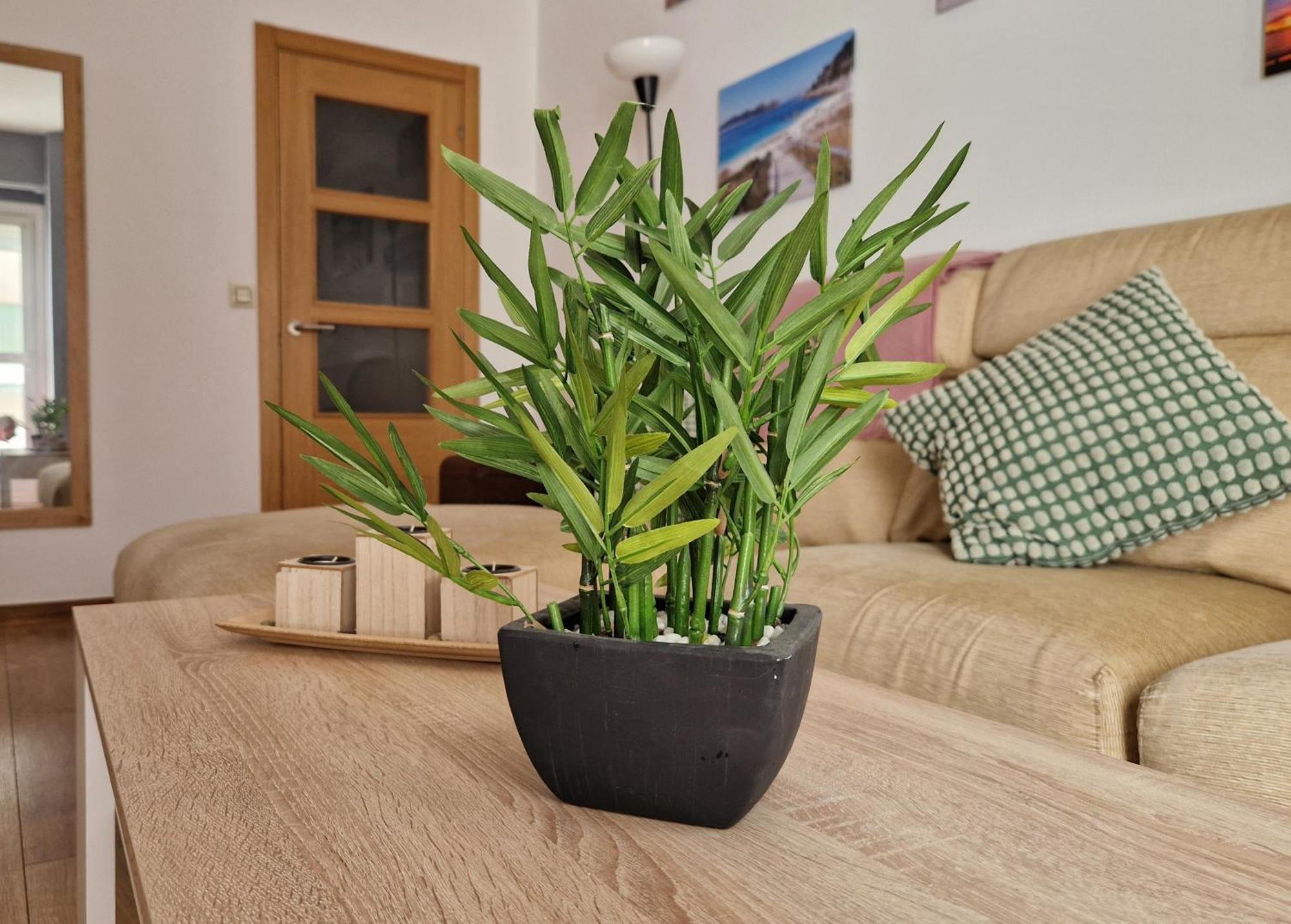Apartamento Playa Bouzas - Vigo - Parking Free Eksteriør billede